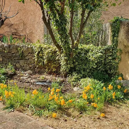 U Paisolu, Maison De Village En Corse, Entre Et Montagne Holiday home